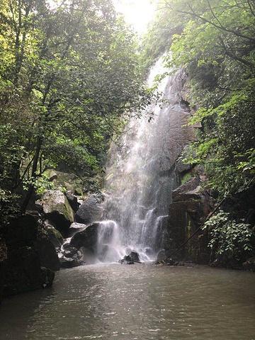 "_莫干山风景名胜区"的评论图片