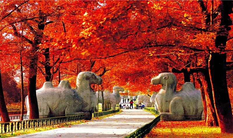 钟山风景名胜区